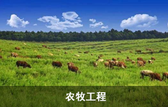 畜牧养殖工程项目管理软件