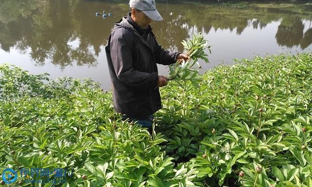 「销售渠道」如何拓展鲜花销售渠道？