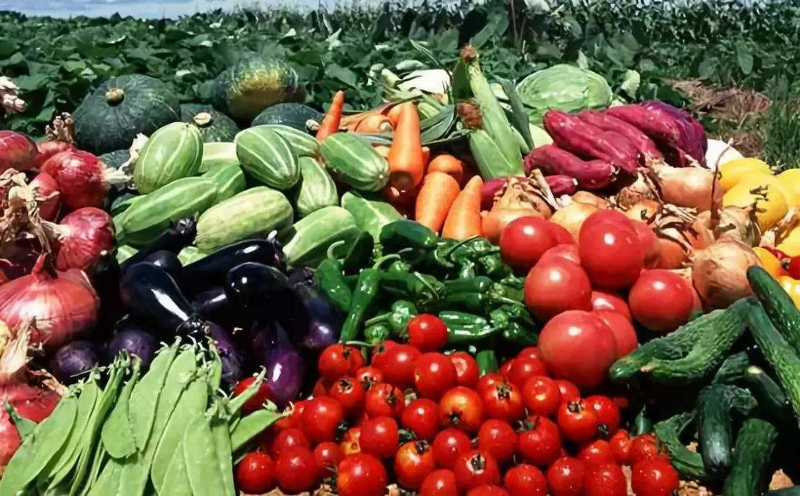 「代理商加盟」多多买菜代理商加盟渠道有哪些？